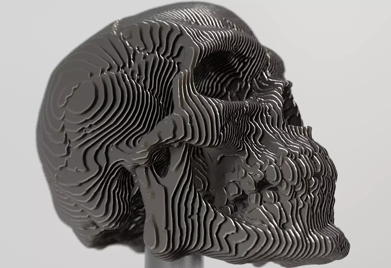 skull decoration 3D model_0