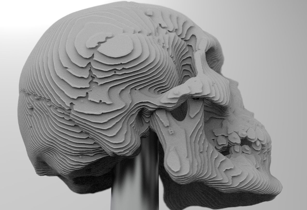 skull decoration 3D model_1