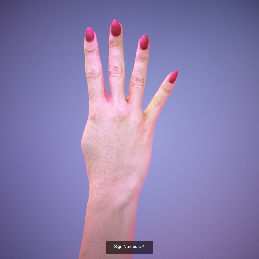 American Sign Language Alphabet and Numbers 3D Model Collection_10