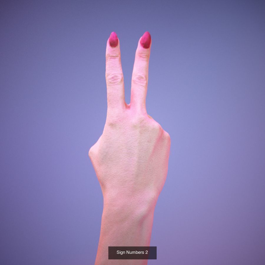 American Sign Language Alphabet and Numbers 3D Model Collection_12