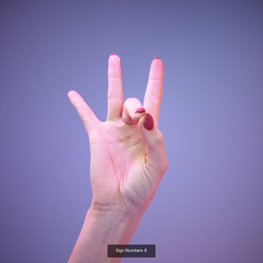 American Sign Language Alphabet and Numbers 3D Model Collection_6