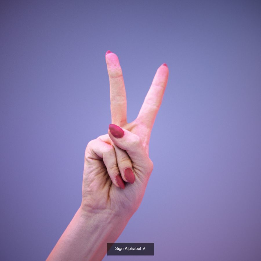 American Sign Language Alphabet and Numbers 3D Model Collection_19
