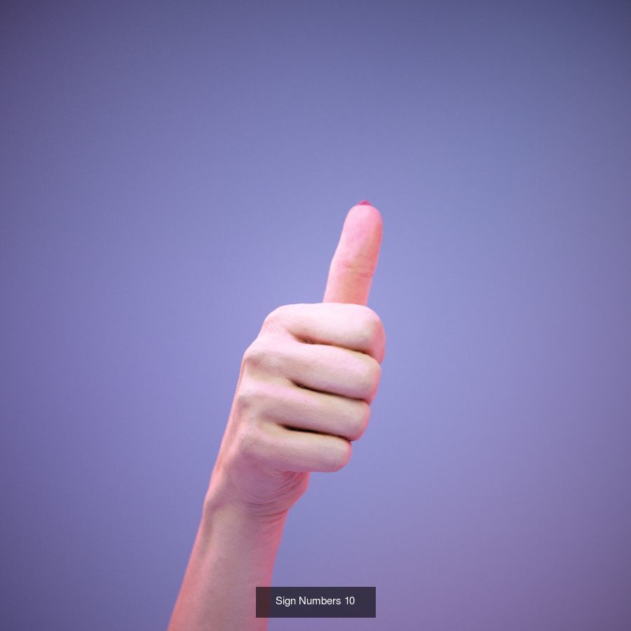 American Sign Language Alphabet and Numbers 3D Model Collection_13