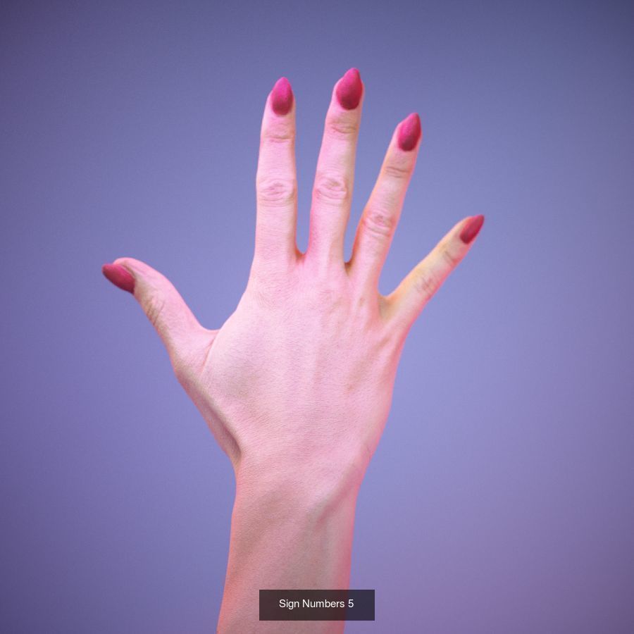 American Sign Language Alphabet and Numbers 3D Model Collection_9