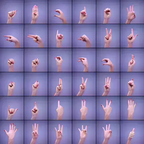 American Sign Language Alphabet and Numbers 3D Model Collection