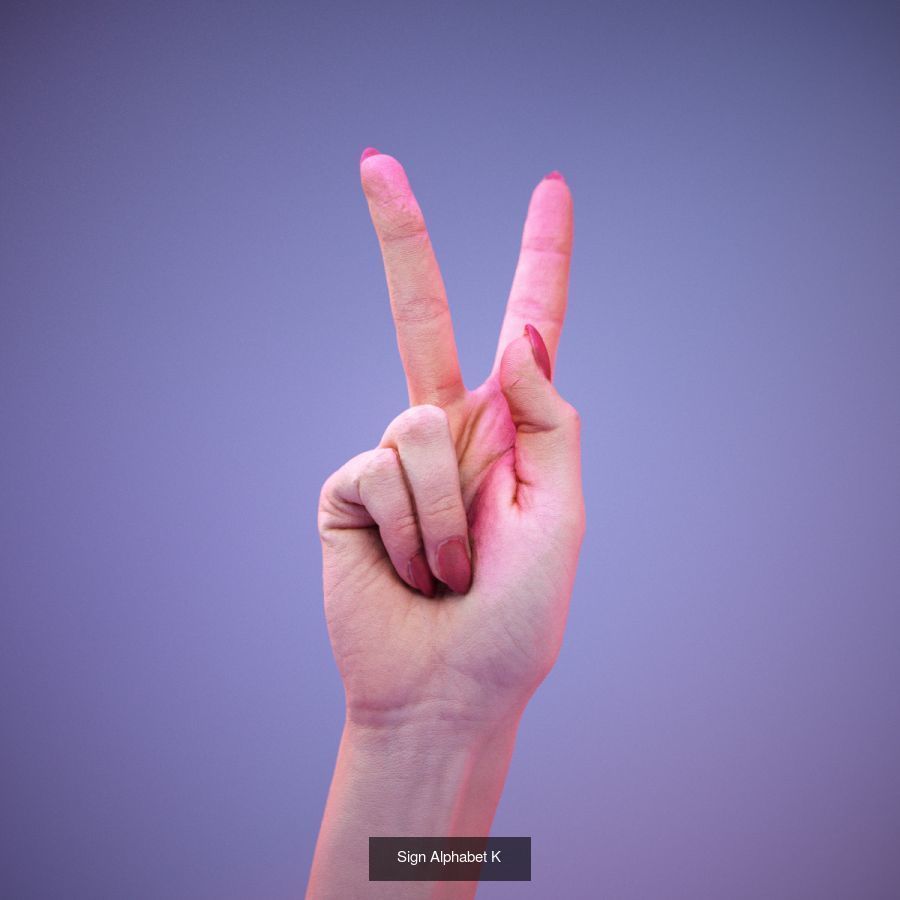 American Sign Language Alphabet and Numbers 3D Model Collection_30