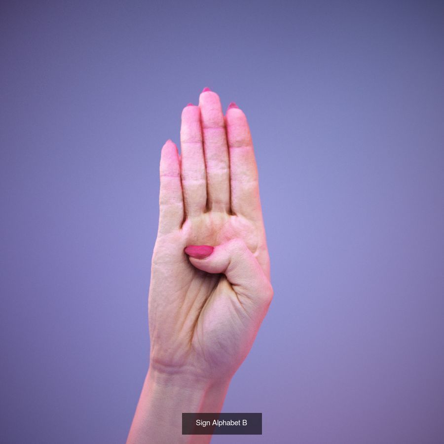 American Sign Language Alphabet and Numbers 3D Model Collection_39