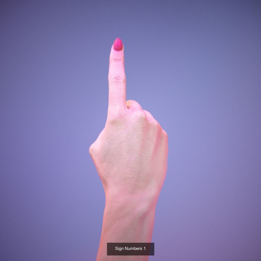 American Sign Language Alphabet and Numbers 3D Model Collection_14