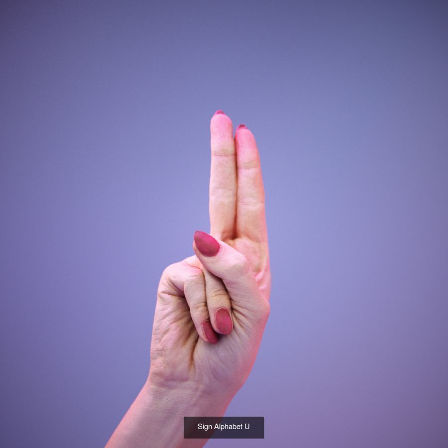 American Sign Language Alphabet and Numbers 3D Model Collection_20