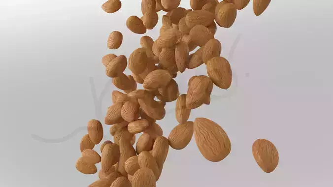 almond 3d model