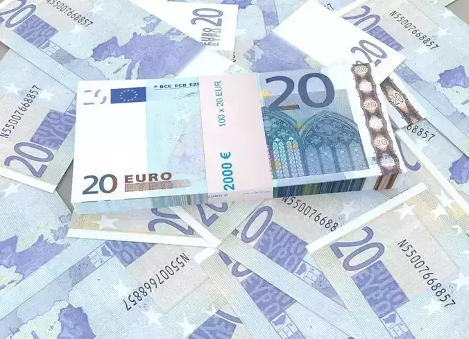  20 euro banknote packs 3D model