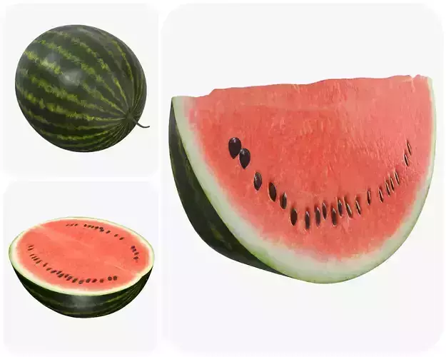 Realistic watermelon whole half sliced 3D Model Collection