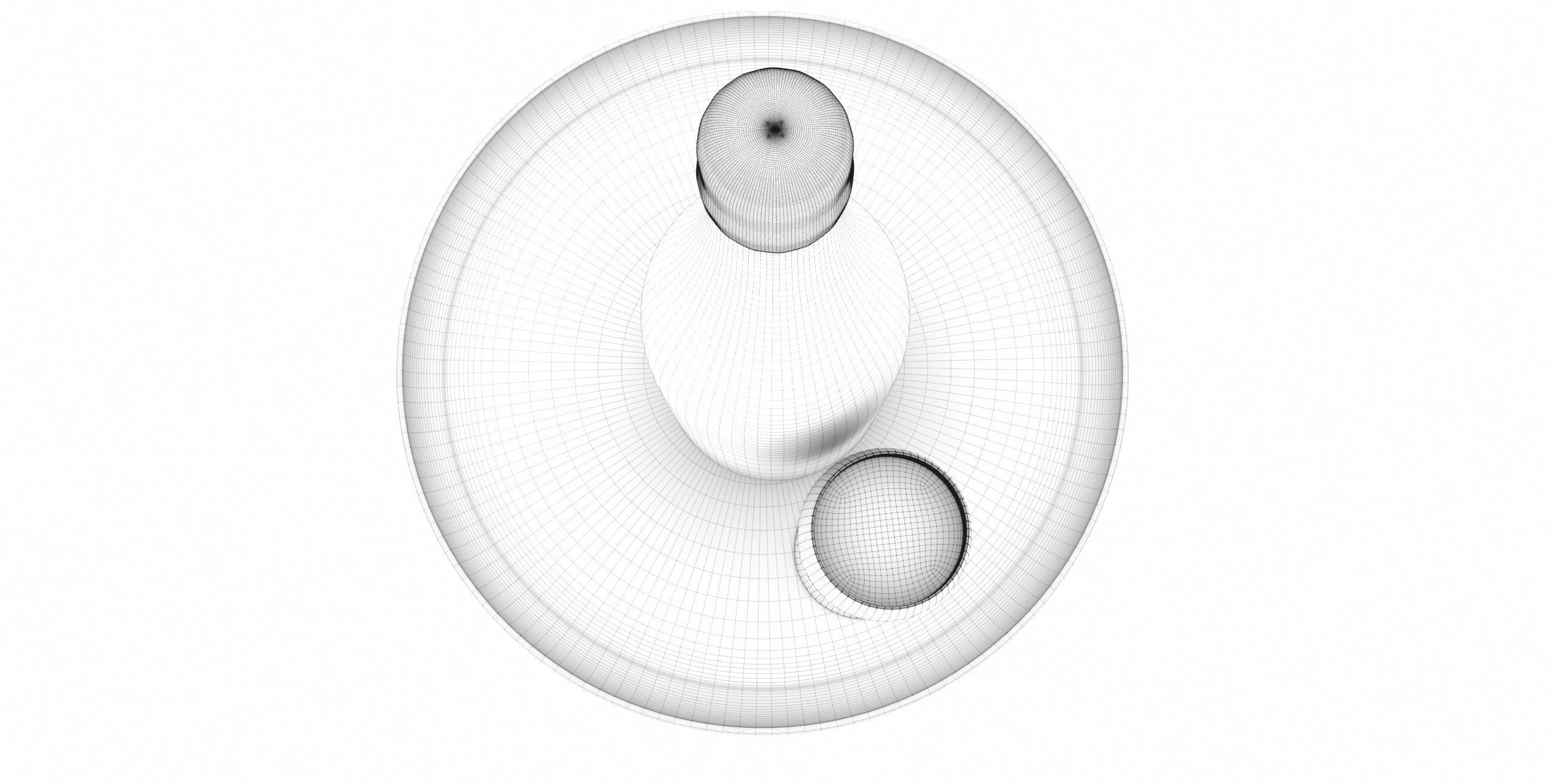  Photorealistic Champagner Bottle with Glass and Tablet 3D model_11