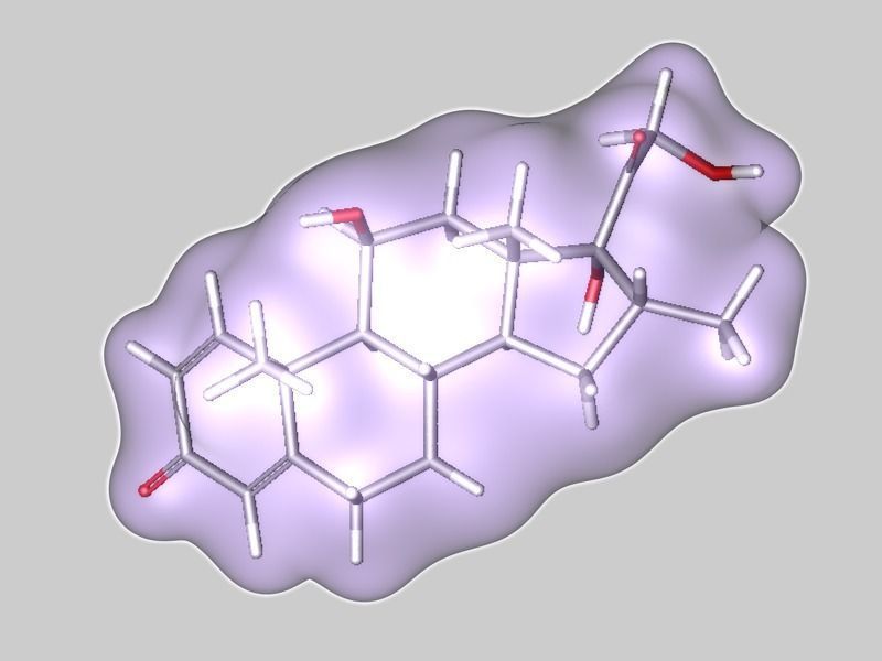 Dexamethasone molecule 3D model_5