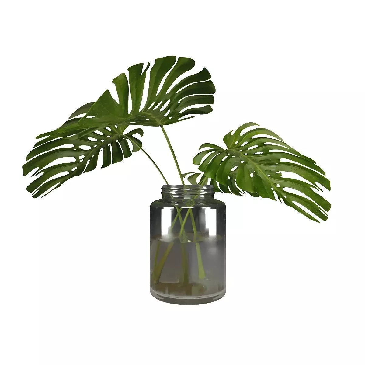 Vase Adams Rib 3D model