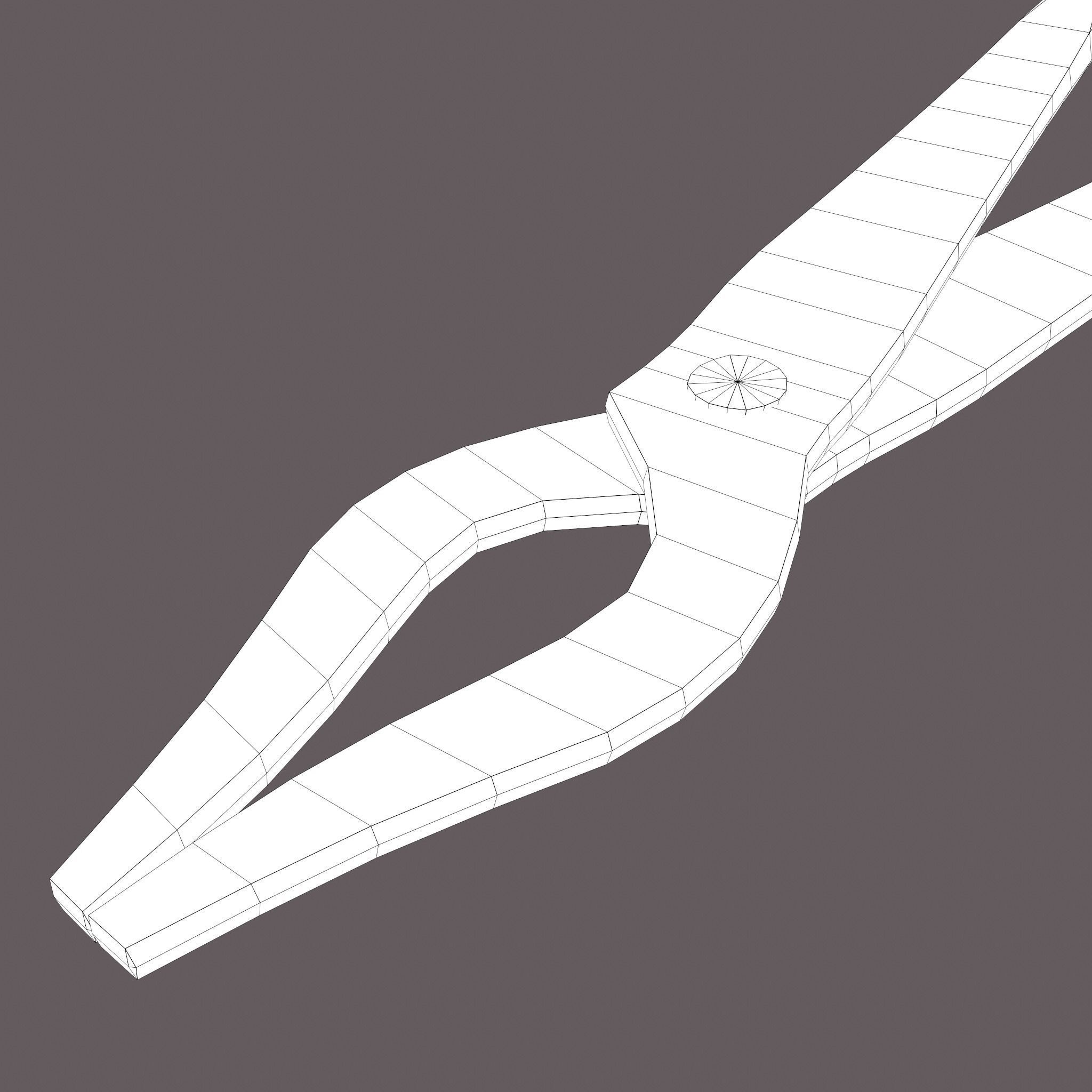 Medieval Fishing Pliers Free low-poly 3D model_29