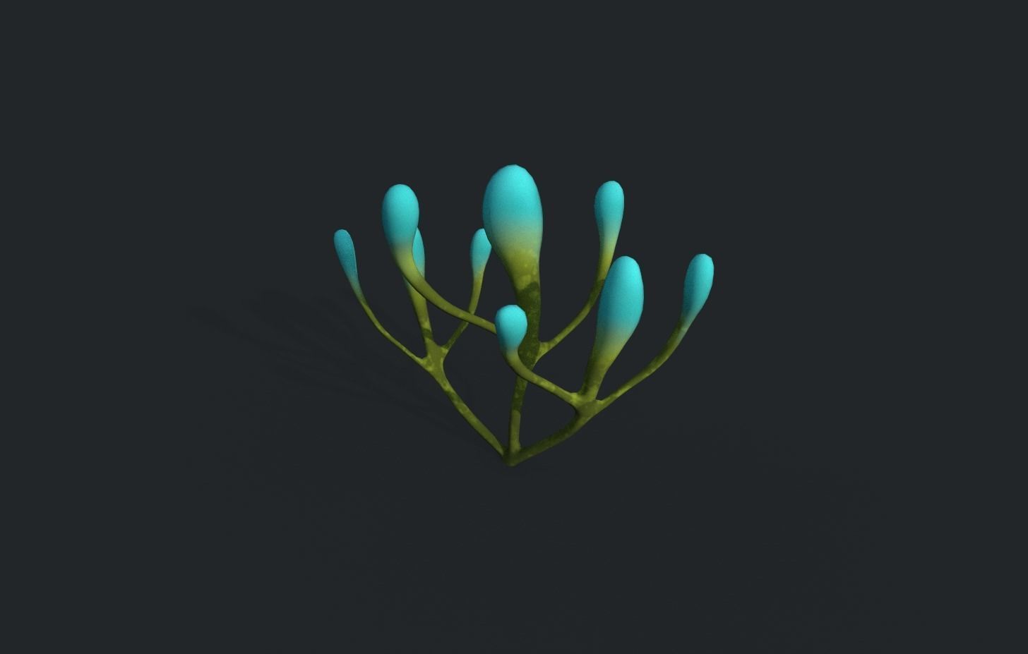 Plants Fantasy 3D model_7