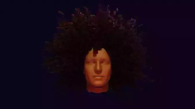 Realistic Hair afro