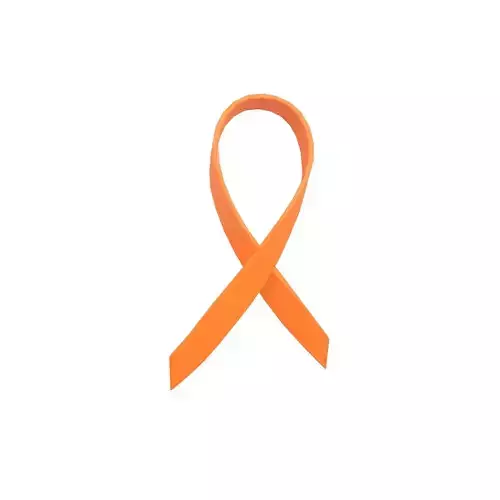 Ribbon v2 006