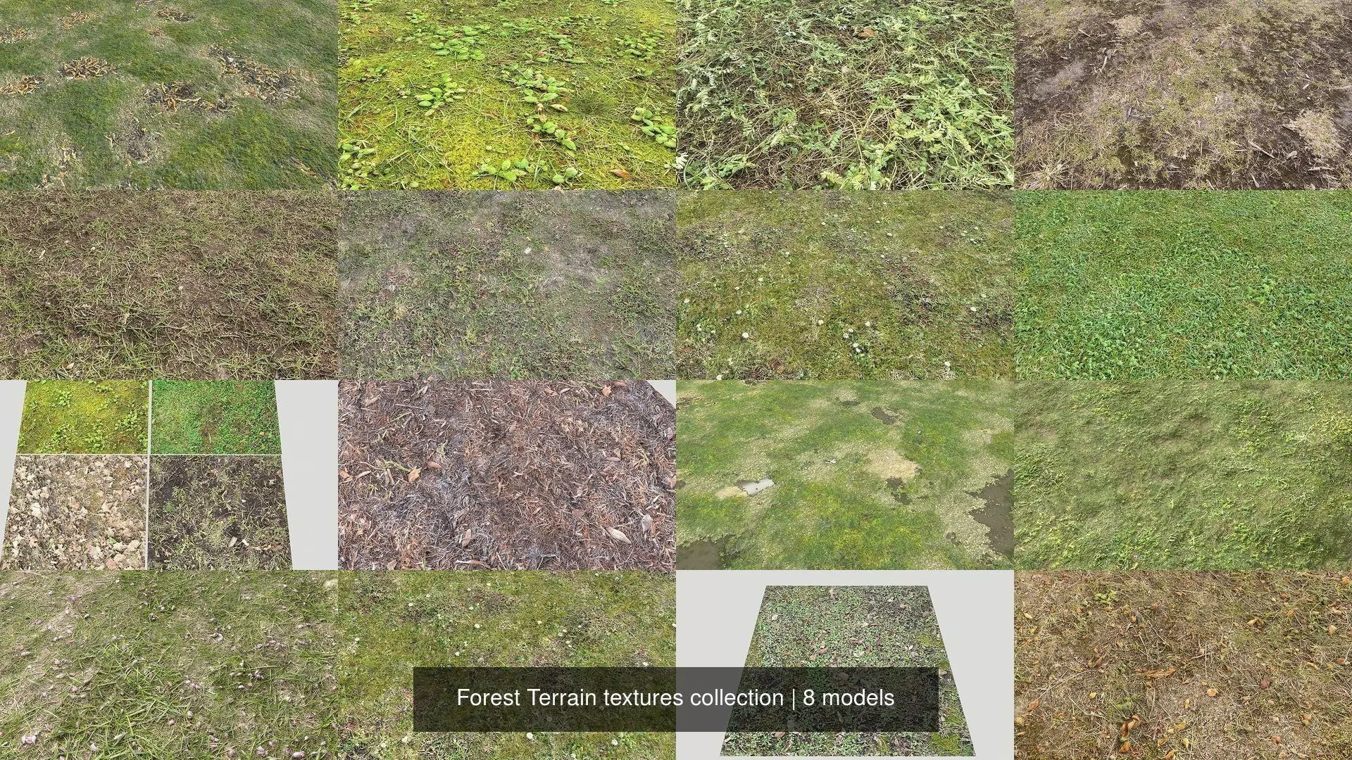 Forest Terrain textures collection Texture_0
