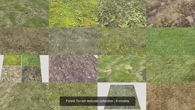 Forest Terrain textures collection Texture