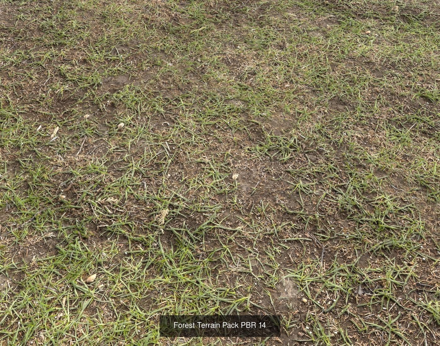 Forest Terrain textures collection Texture_41