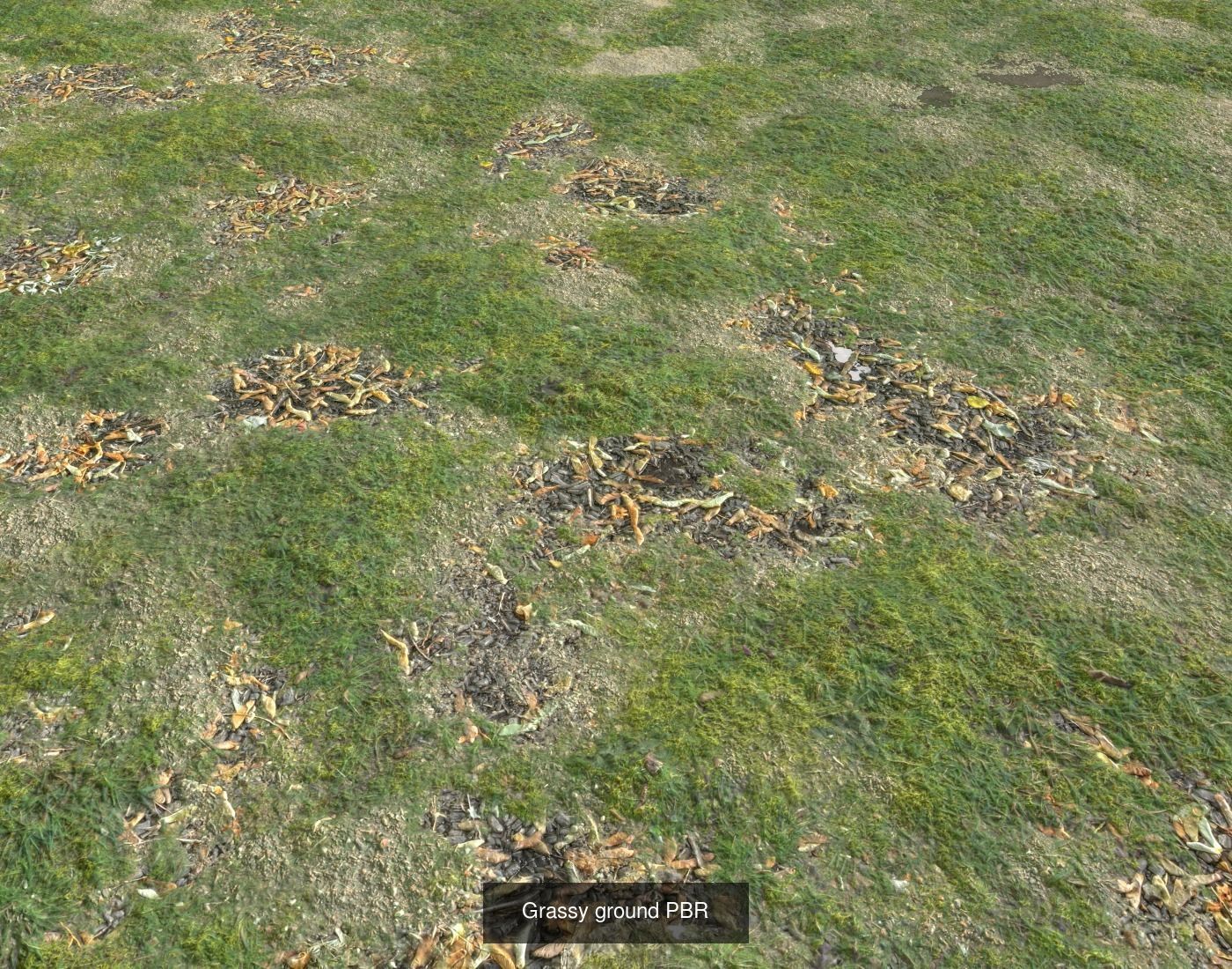 Forest Terrain textures collection Texture_37