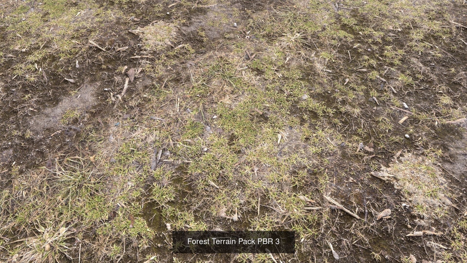 Forest Terrain textures collection Texture_40