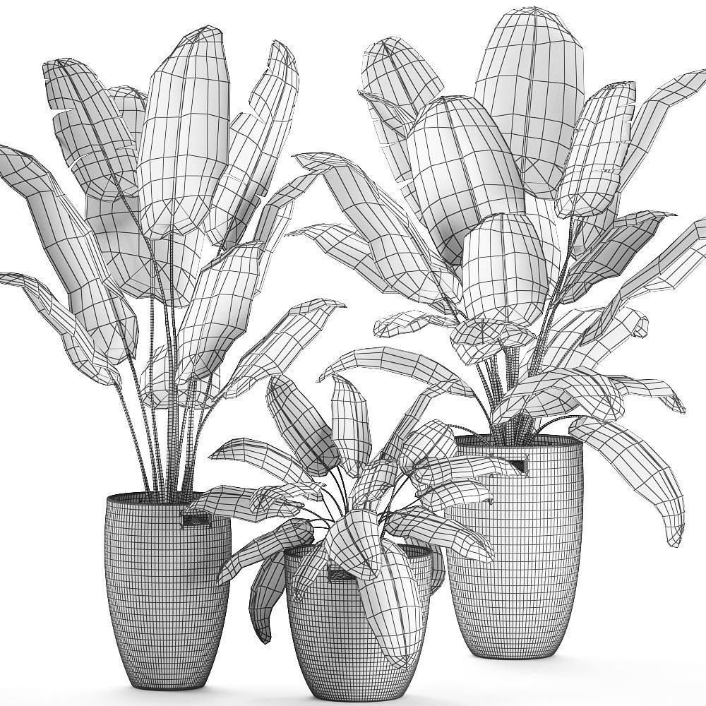 Decorative banana palms in a basket for the interior 590 3D model_9