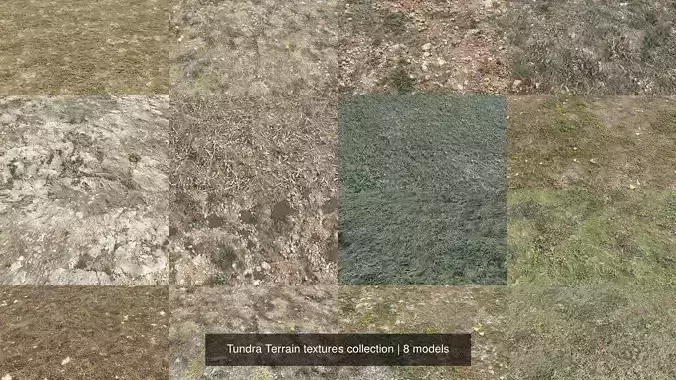 Tundra Terrain textures collection Texture