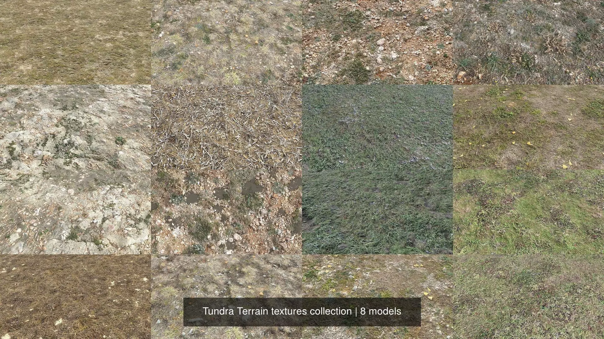 Tundra Terrain textures collection Texture_0