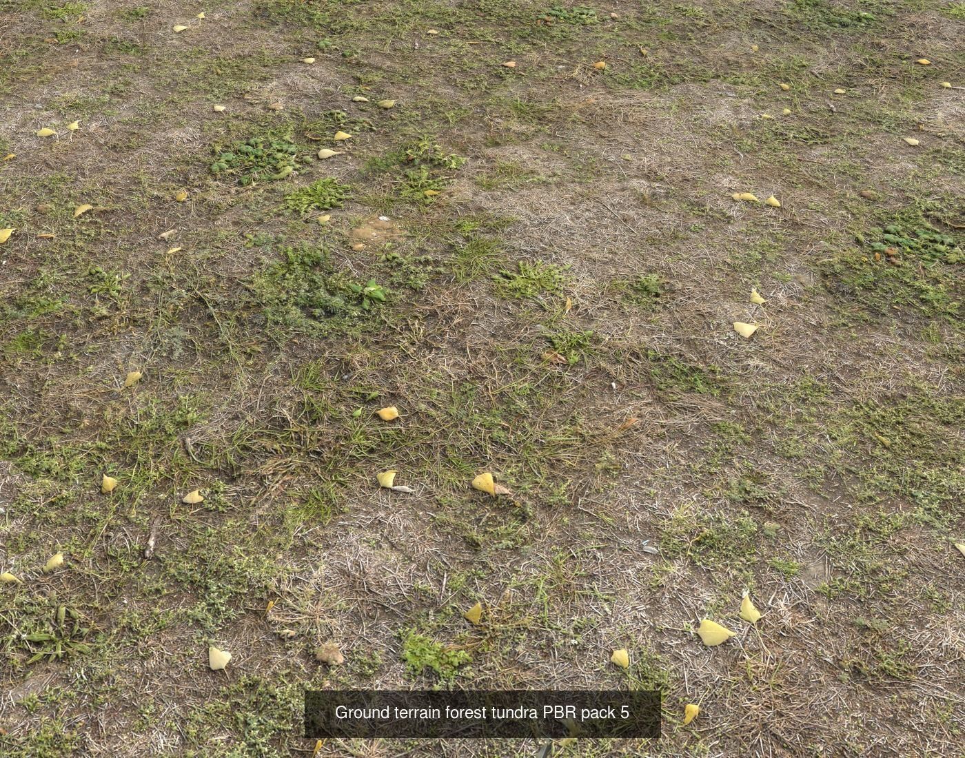 Tundra Terrain textures collection Texture_36