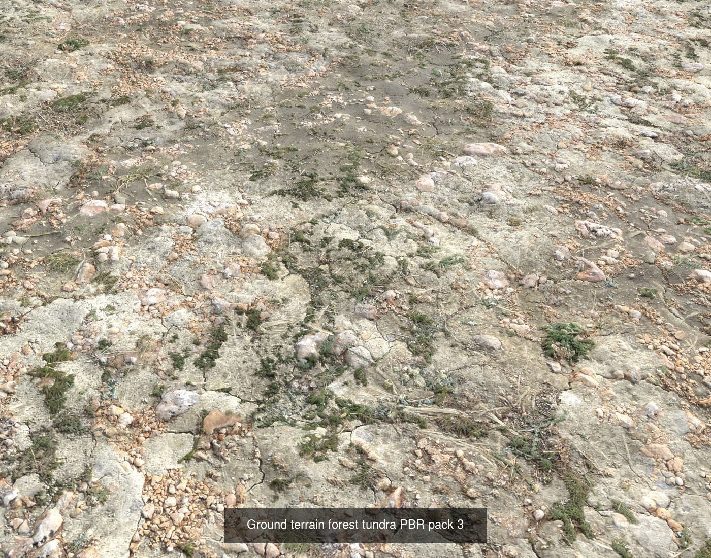 Tundra Terrain textures collection Texture_33