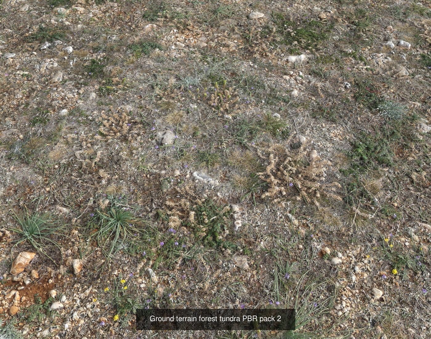 Tundra Terrain textures collection Texture_32