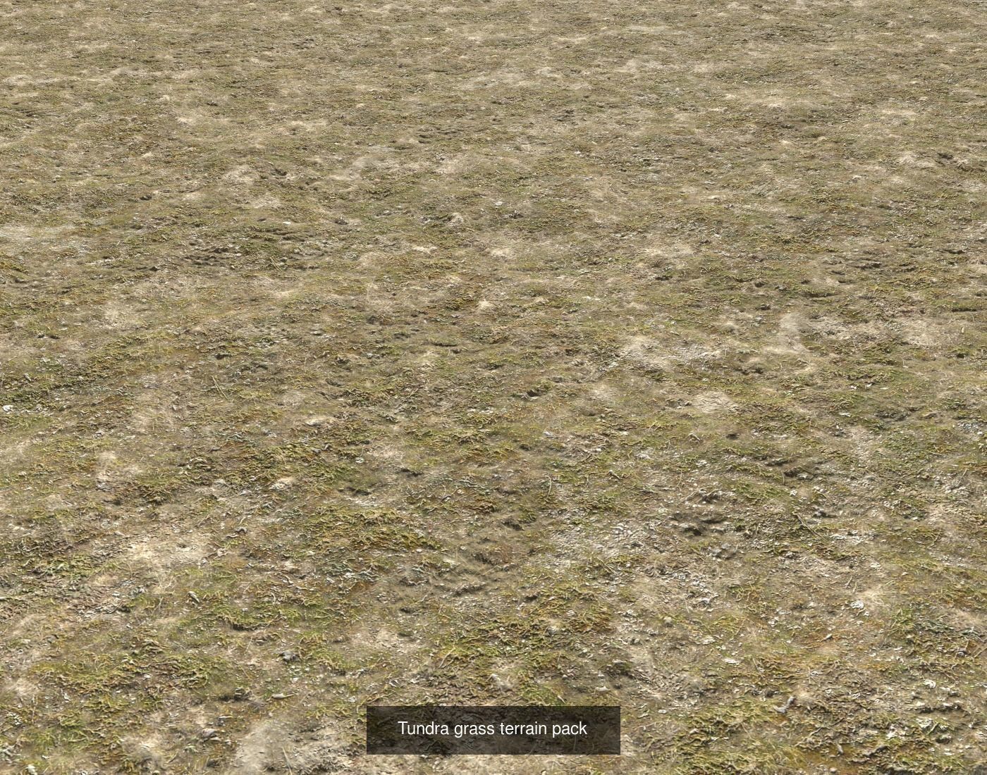 Tundra Terrain textures collection Texture_30