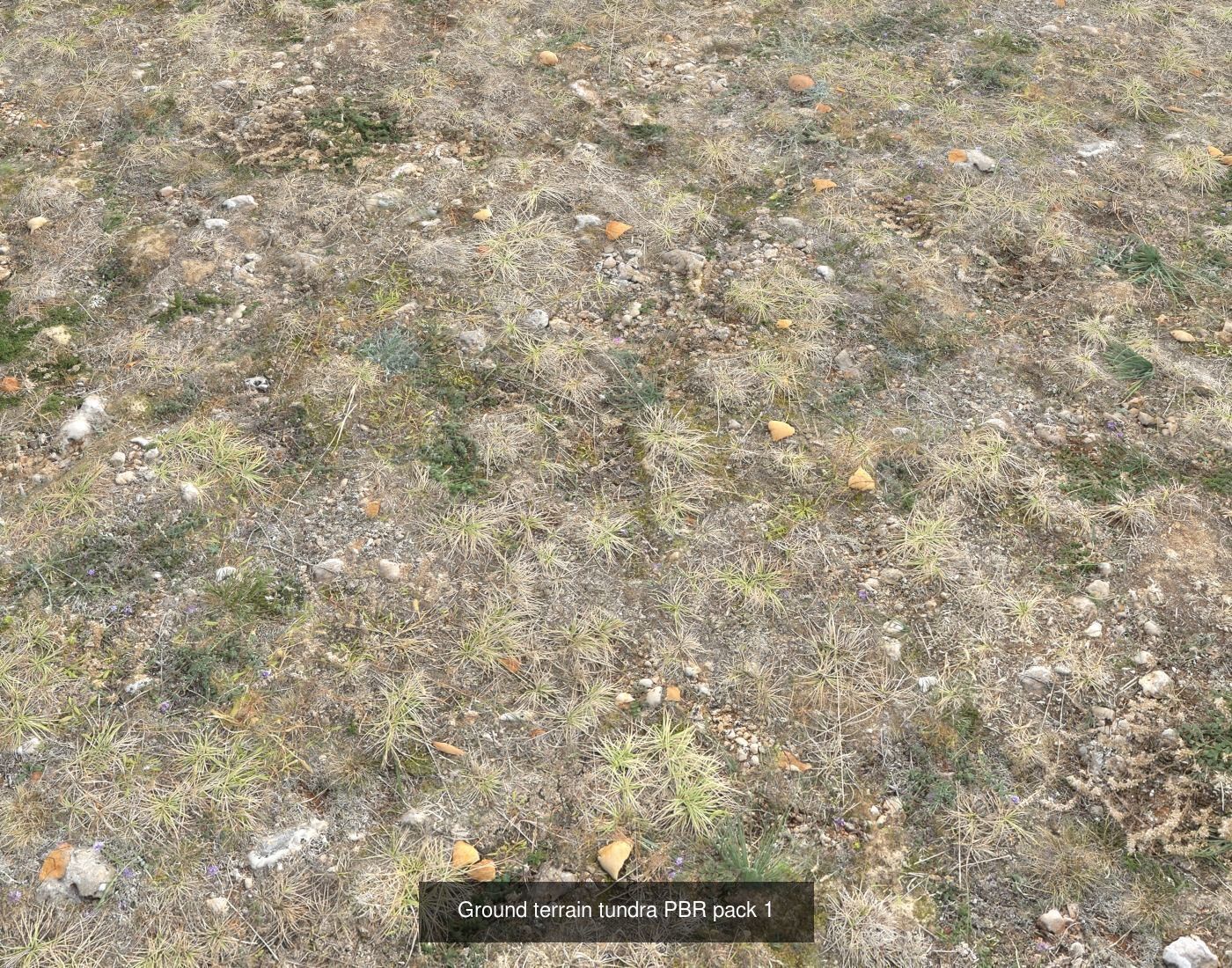 Tundra Terrain textures collection Texture_31