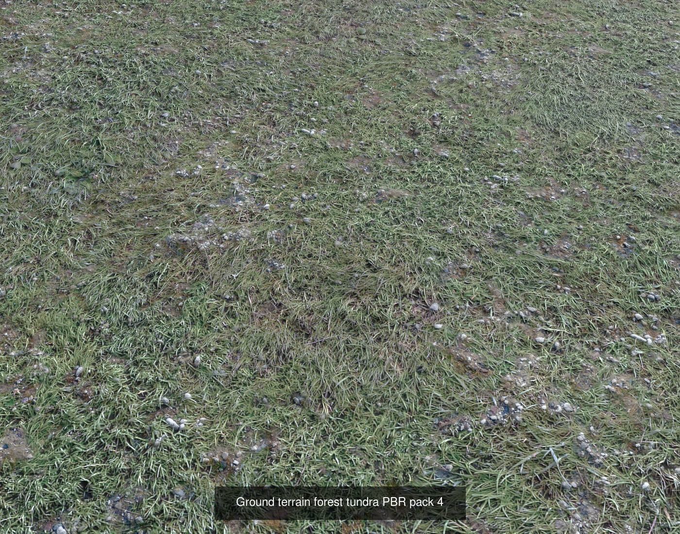 Tundra Terrain textures collection Texture_35