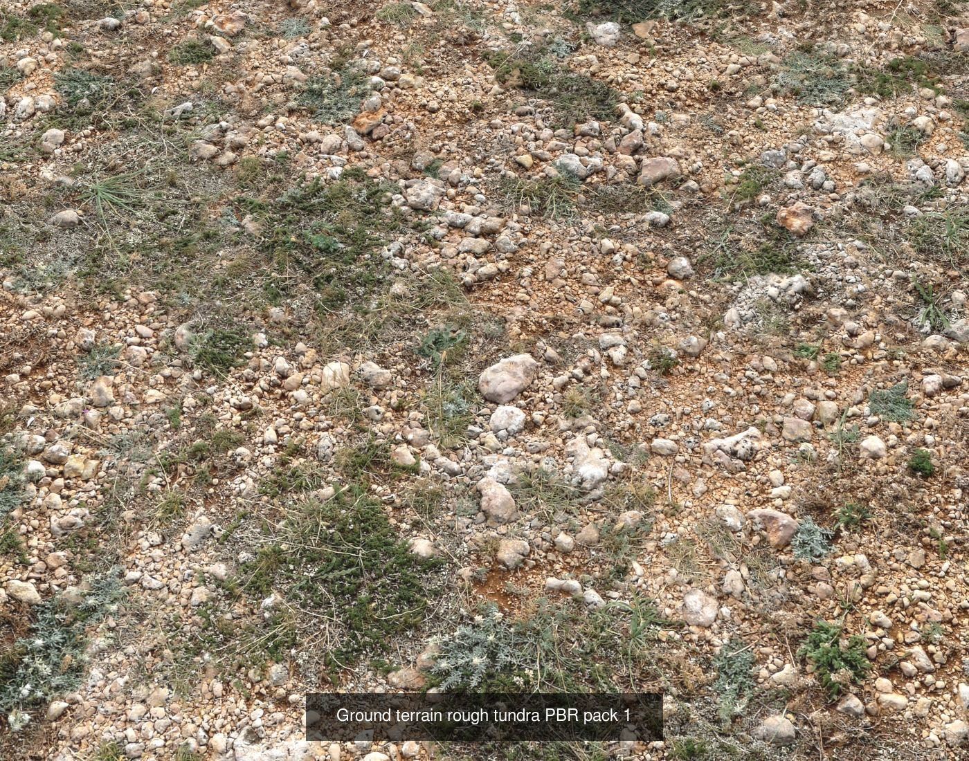 Tundra Terrain textures collection Texture_29