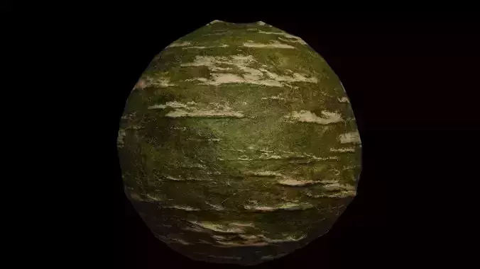 mossy rock ground texture