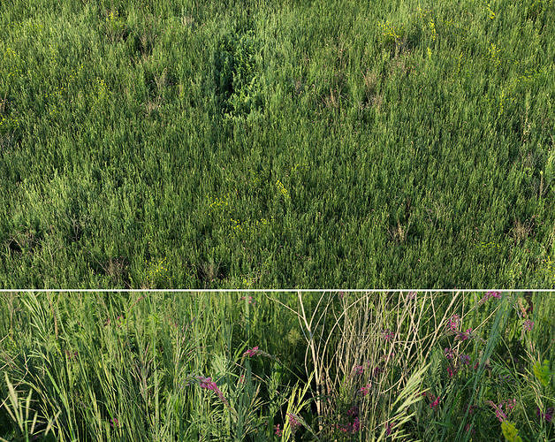 Grass field 01 Low-poly 3D model