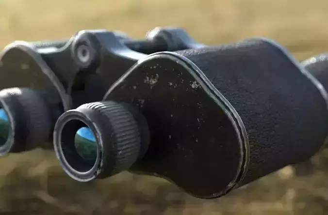 WWII Binoculars 