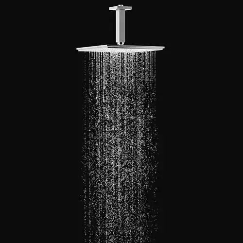 Overhead shower Grohe Rainshower Allure