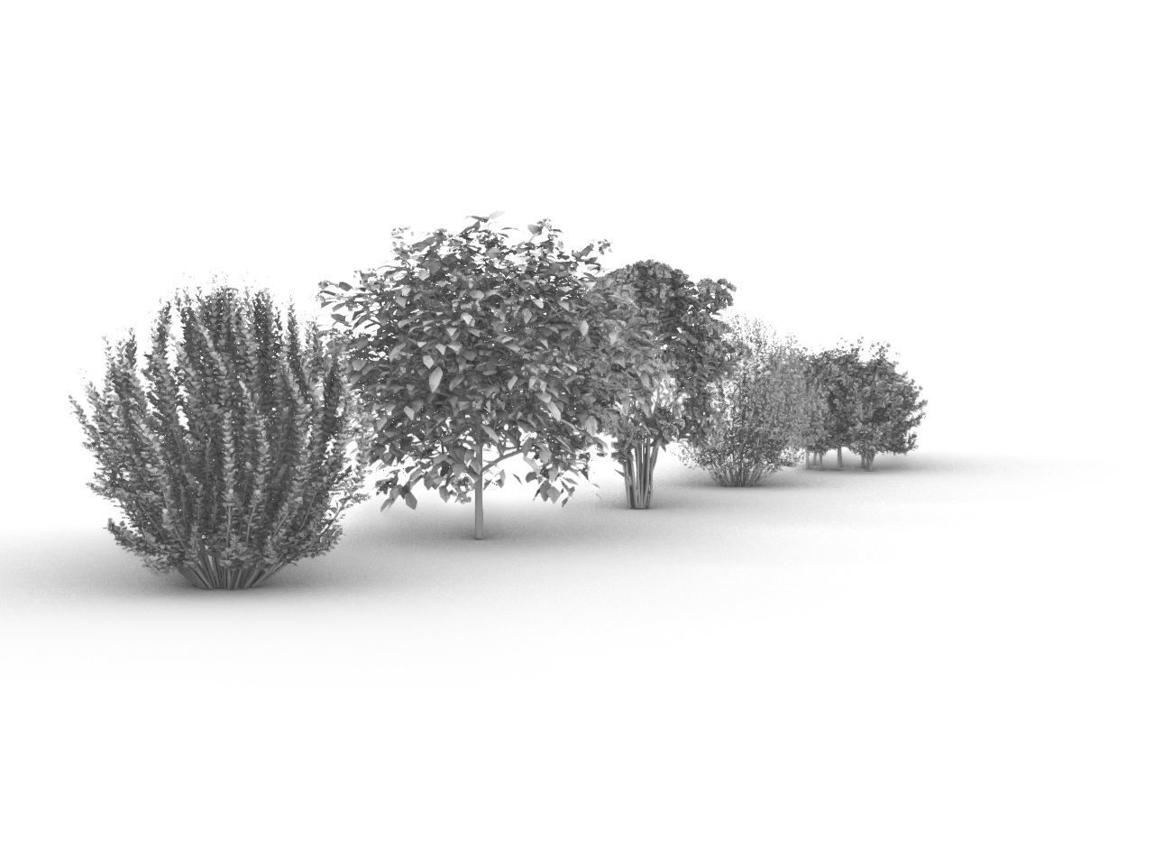 TREE PACK Low-poly 3D model_2