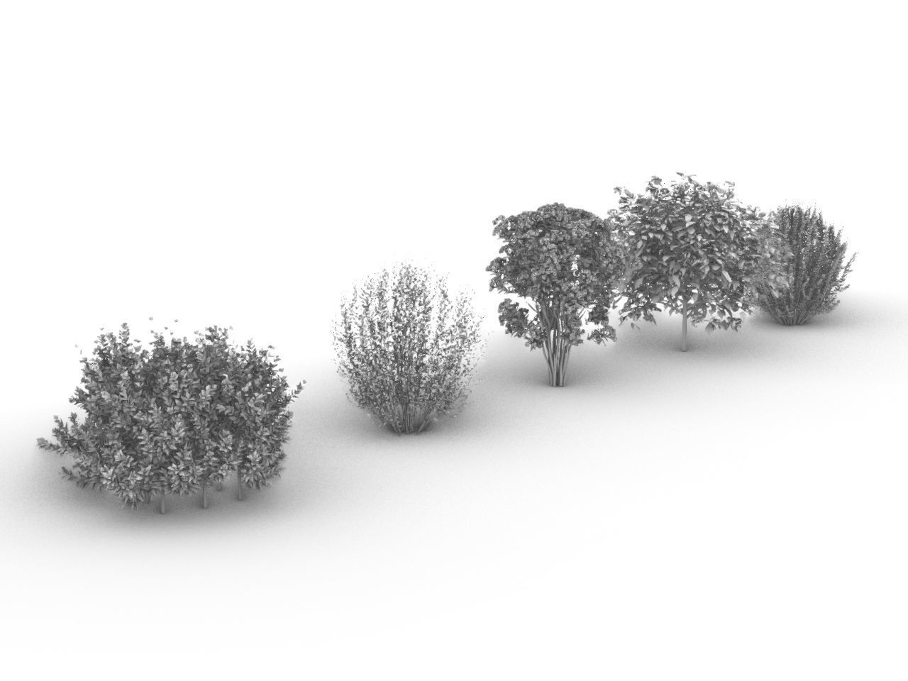 TREE PACK Low-poly 3D model_1