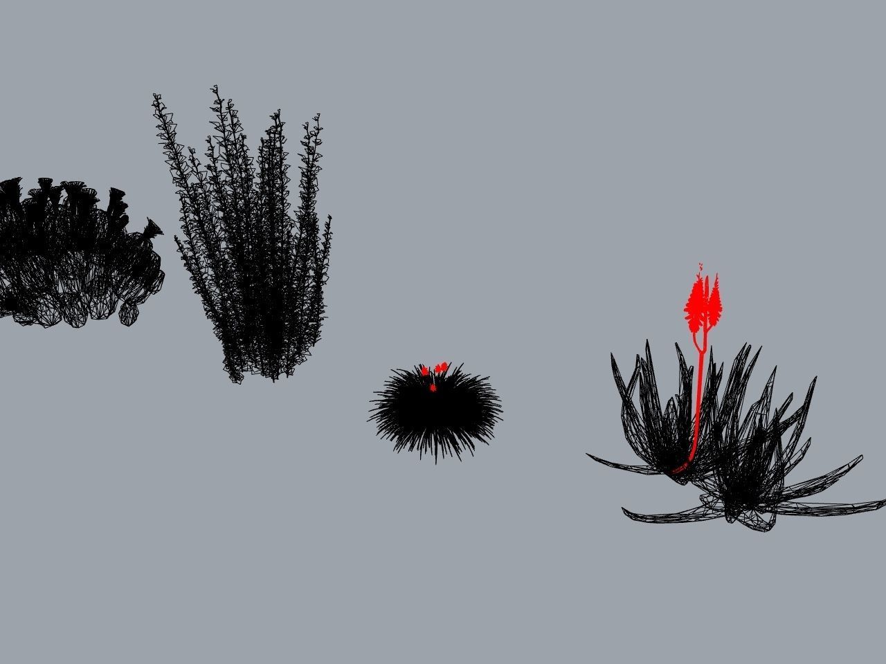 CACTI PACK Low-poly 3D model_8