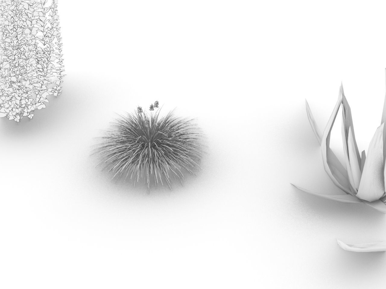 CACTI PACK Low-poly 3D model_6