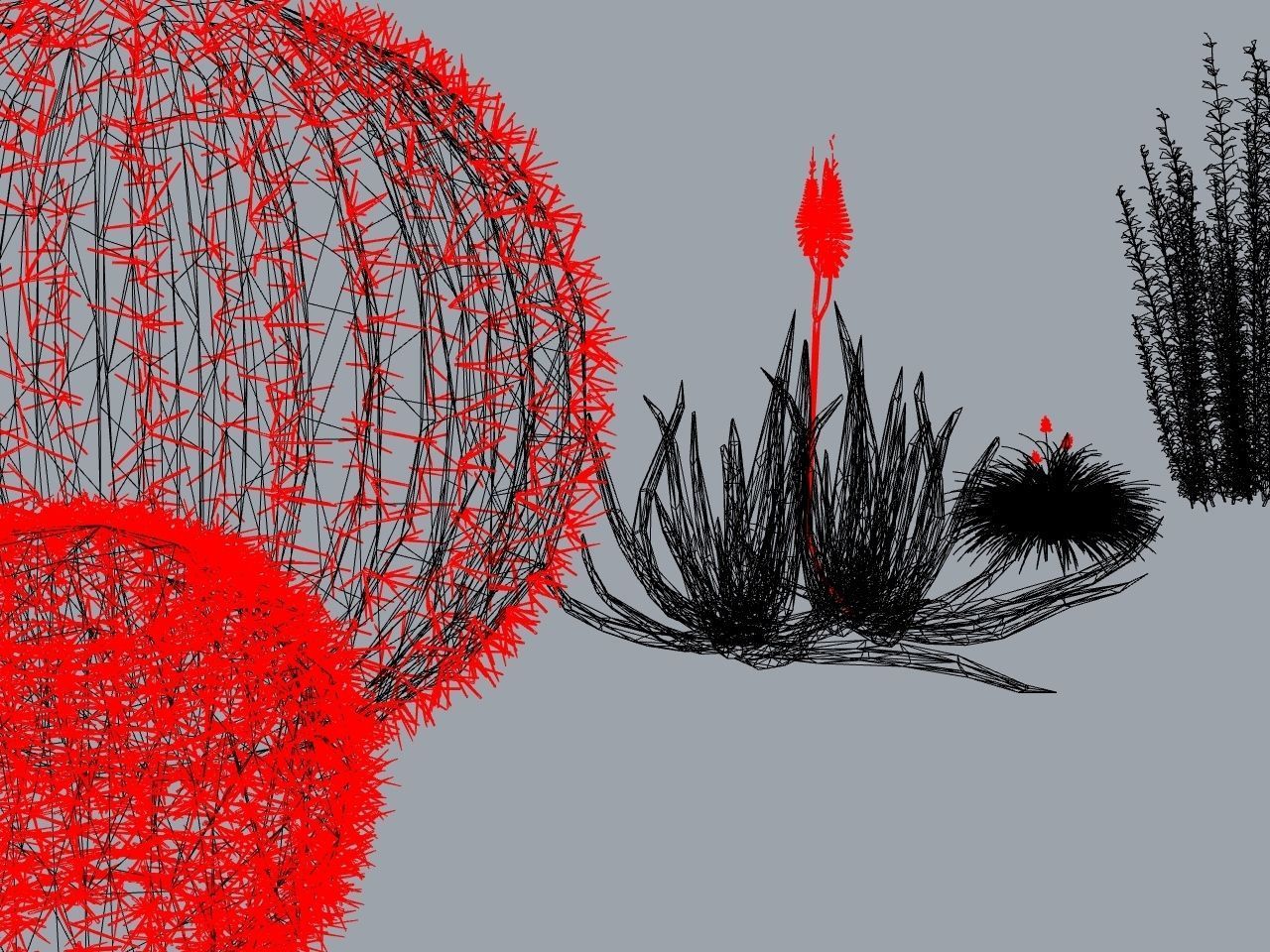 CACTI PACK Low-poly 3D model_11