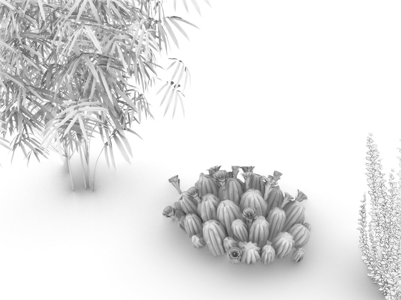 CACTI PACK Low-poly 3D model_3