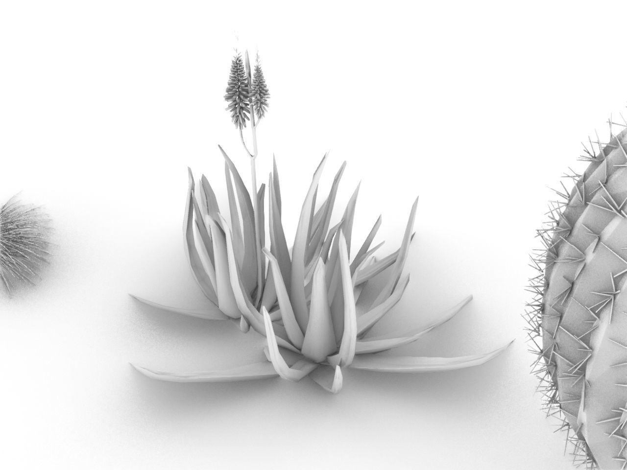 CACTI PACK Low-poly 3D model_4