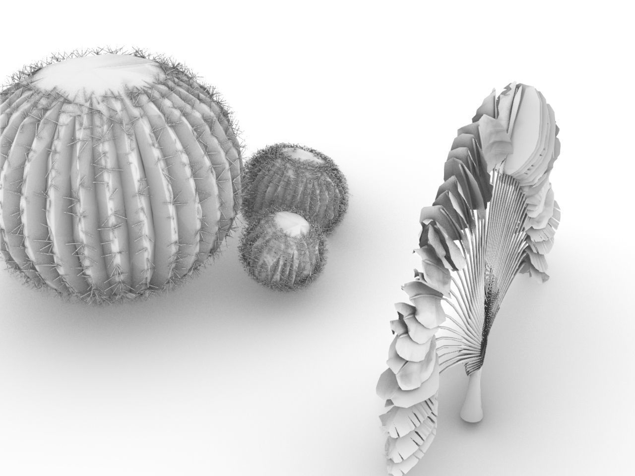 CACTI PACK Low-poly 3D model_2